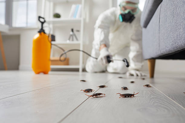 Post-Treatment Bed Bug Interceptor Monitoring in Flagtown