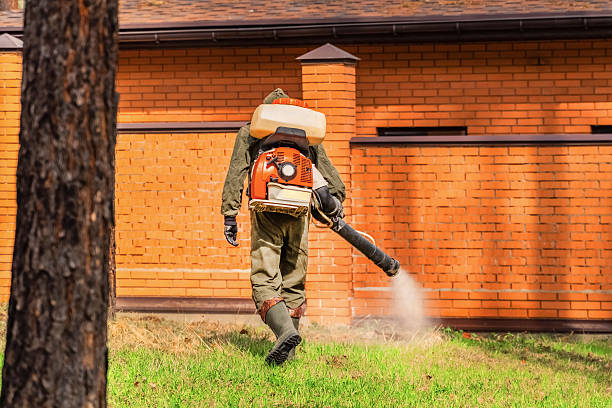 Bed Bug Clearance Verification and Documentation in Flagtown
